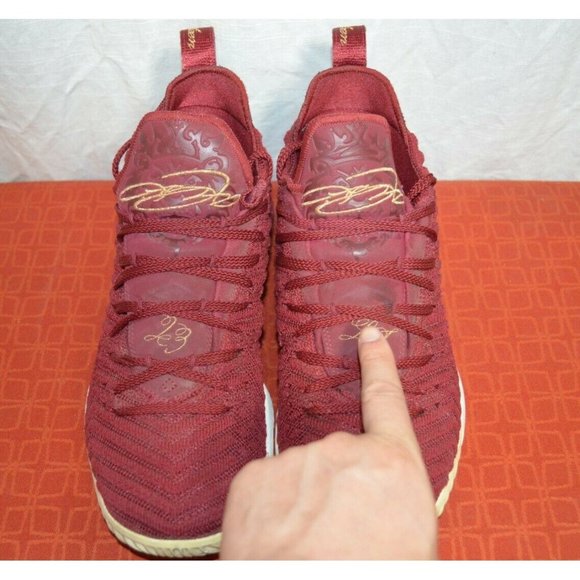 Nike Air Zoom Lebron 16 \